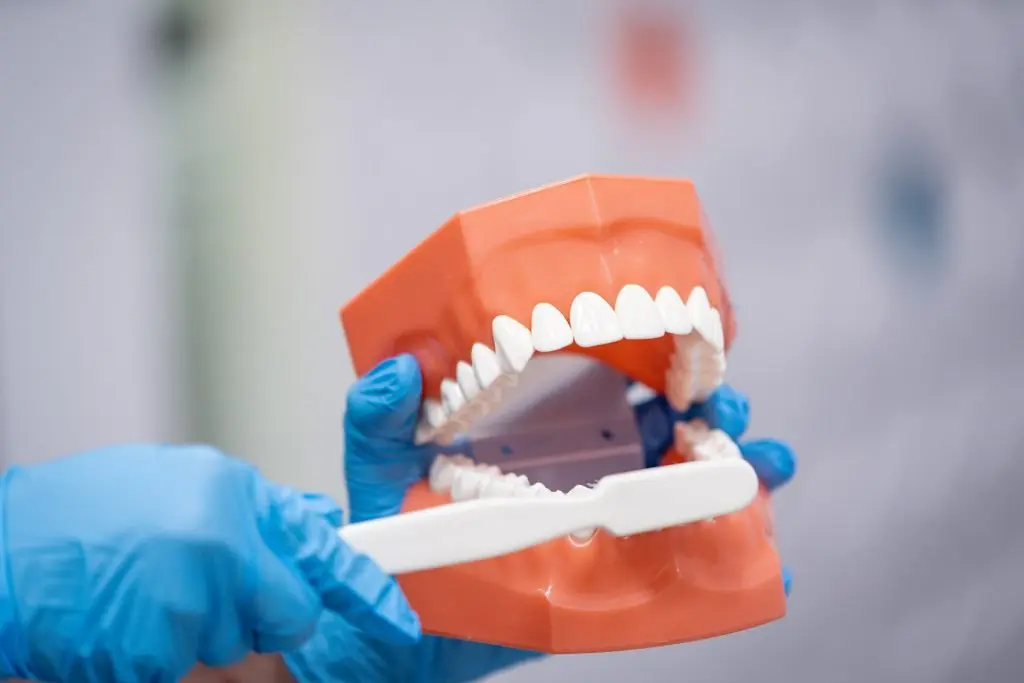 West-Kelowna-Dentist-proper-brushing-technique-true-dental