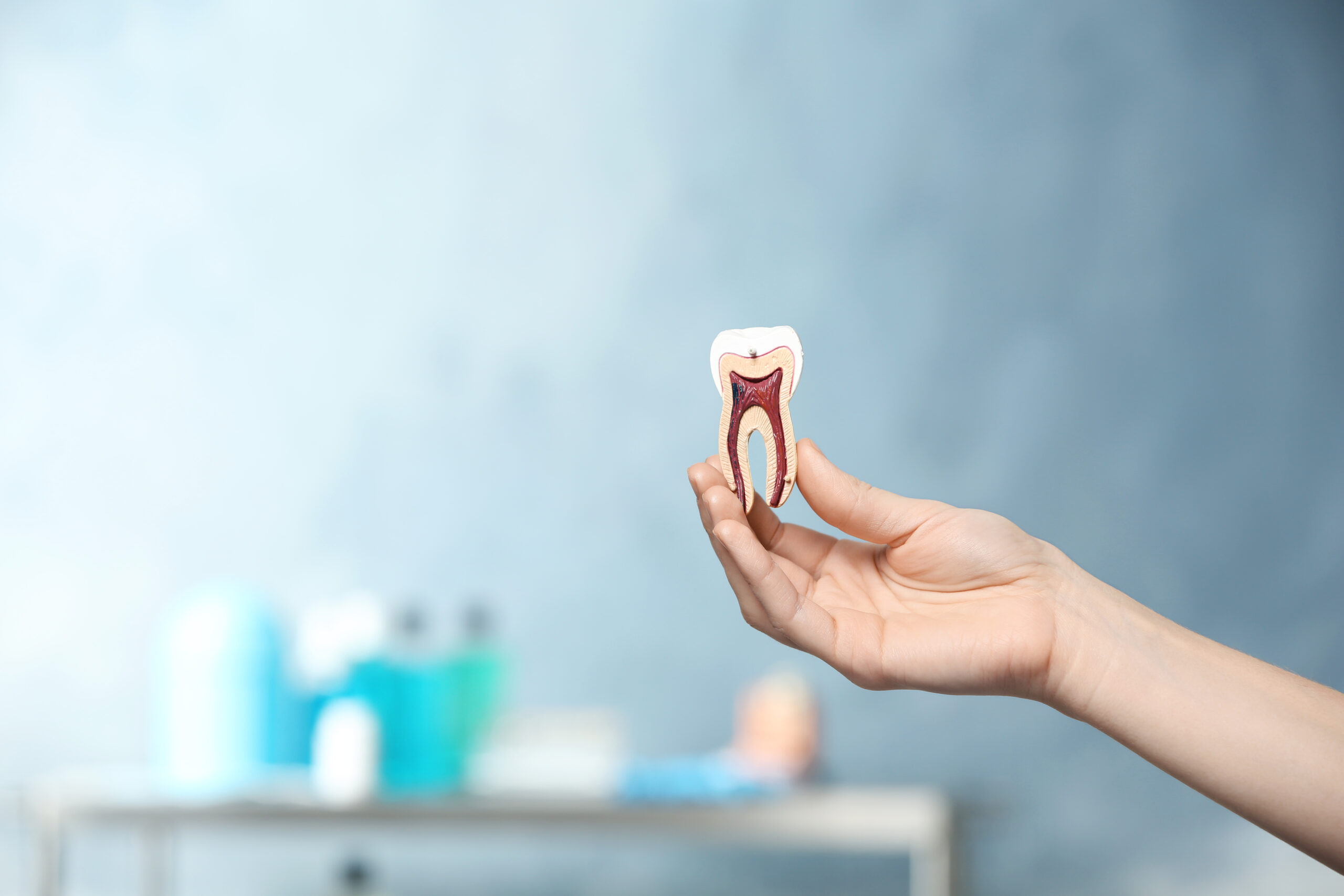 Wisdom tooth assessment